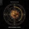 What Took You So Long (Extended Mix) by Armin van Buuren, Gryffin Album Art