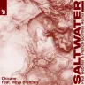 Saltwater (Paul Webster & Patrick Gormley Extended Remix) by Chicane, Moya Brennan Album Art