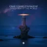 Other Side of the World (Extended Mix) by Craig Connelly, HALIENE Album Art
