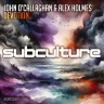 Devotion (Extended Mix) by John O'Callaghan, Alex Holmes Album Art