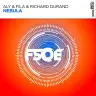 Nebula (Extended Mix) by Aly & Fila, Richard Durand Album Art