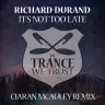 It's Not Too Late (Ciaran McAuley Extended Mix) by Richard Durand Album Art