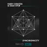 Synchronicity by Ferry Corsten, Saad Ayub Album Art