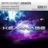 Awaken (Chris Metcalfe Nailz Dub) by Bryan Kearney Album Art