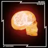 For Your Mind by Ferry Corsten Album Art