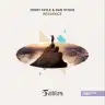 Resilience (Extended Mix) by Ferry Tayle, Dan Stone Album Art