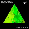 Made of Stone (Extended Mix) by Richard Durand, Sarah de Warren Album Art