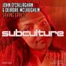 Saving Grace (Extended Mix) by John O'Callaghan, Deirdre McLaughlin Album Art