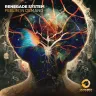 Feelin' In Demand (Extended Mix) by Renegade System Album Art
