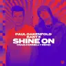 Shine On (Craig Connelly Extended Remix) by Paul Oakenfold, Baby E Album Art